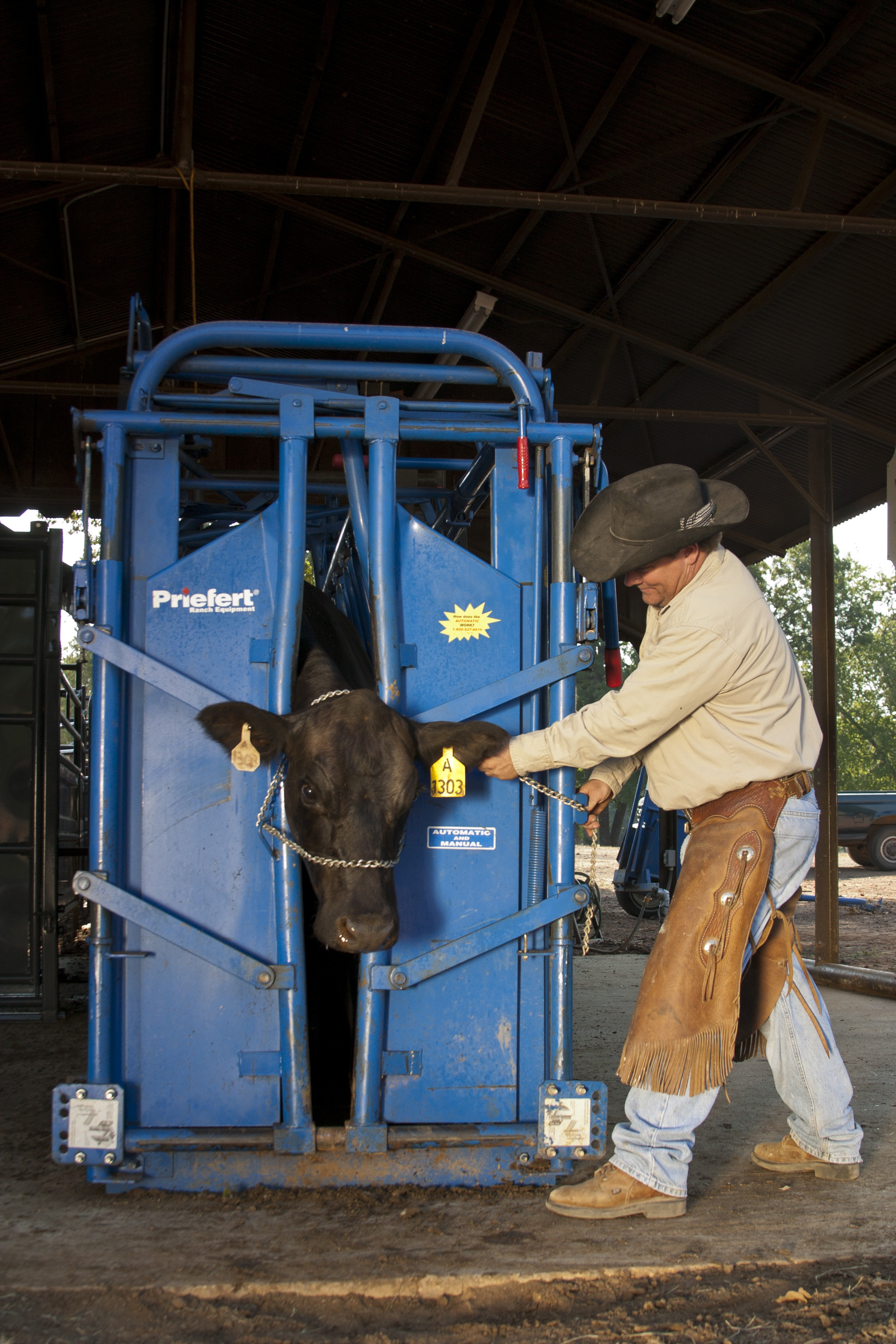 Squeeze Chute S04 HC 01.jpg